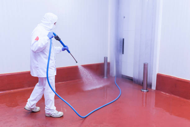Professional Pressure Washing Services in Groveland, FL